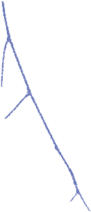 BARENTS SPEKTAKEL 2023