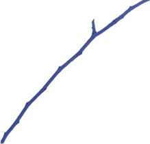 BARENTS SPEKTAKEL 2023
