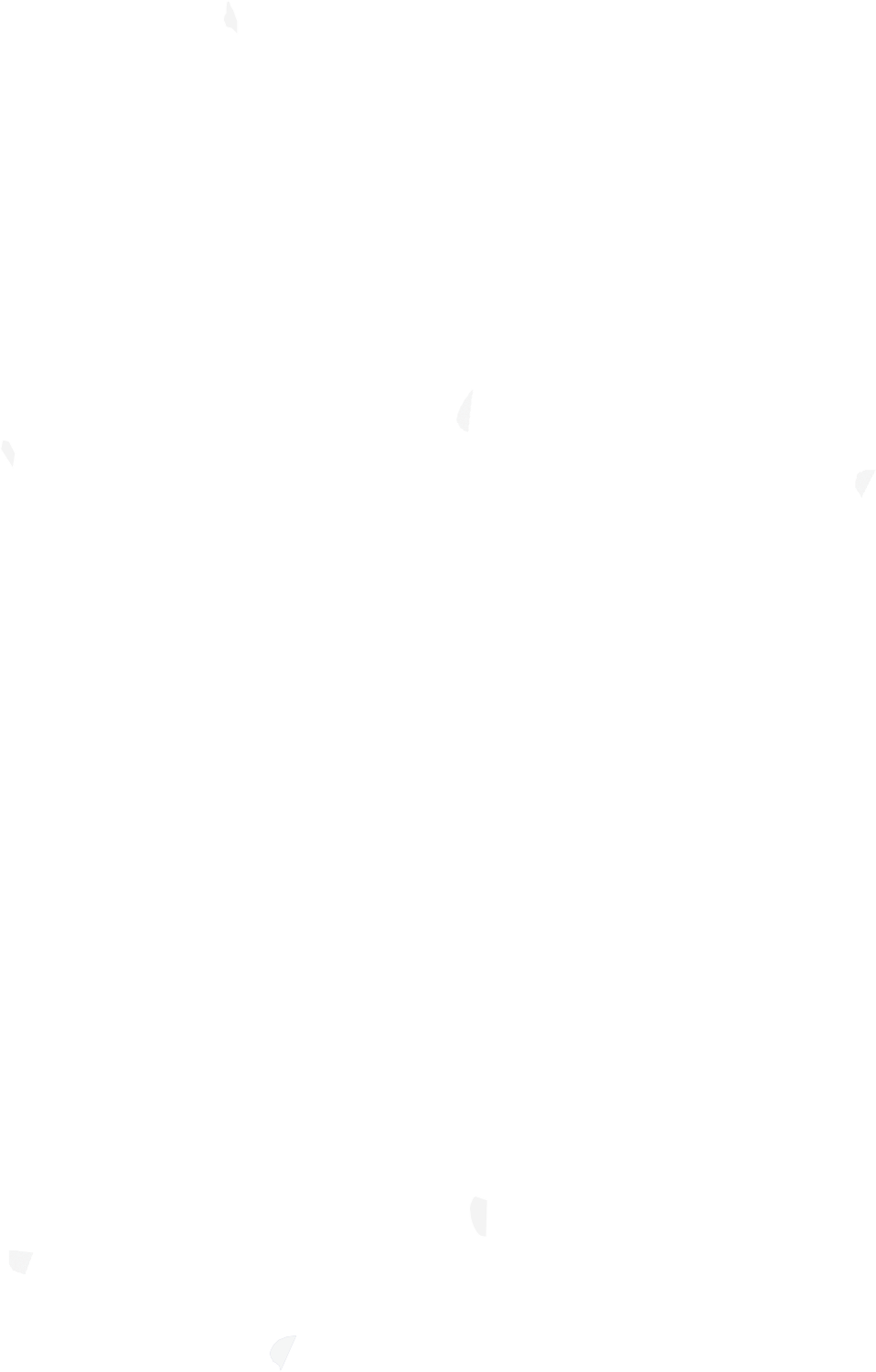 ТРАНСГРАНИЧНОЕ КАФЕ