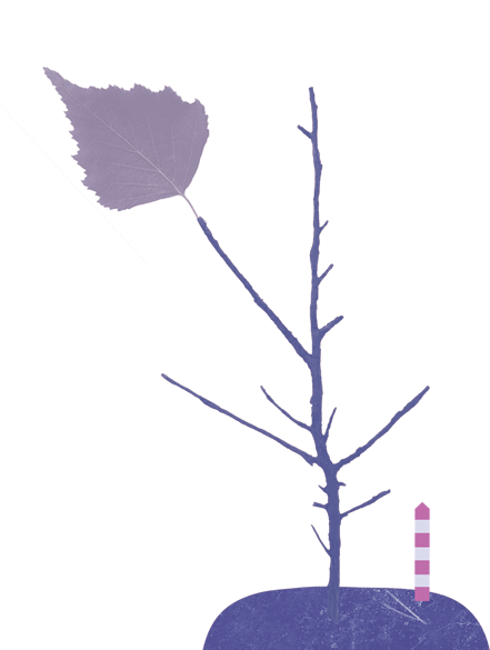 ТРАНСГРАНИЧНОЕ КАФЕ