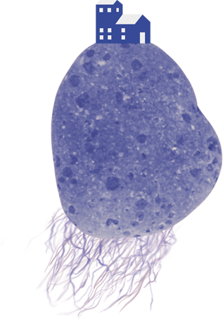 СПУТНИКИ ФЕСТИВАЛЯ